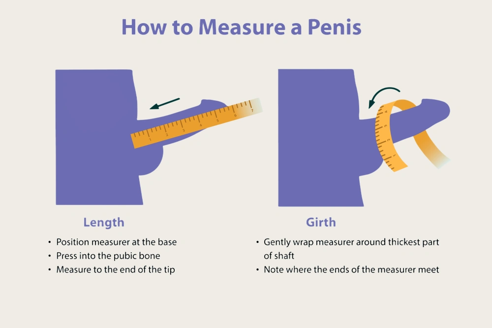 measure penis size